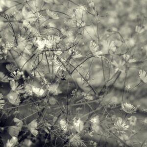 fotografia artystyczna